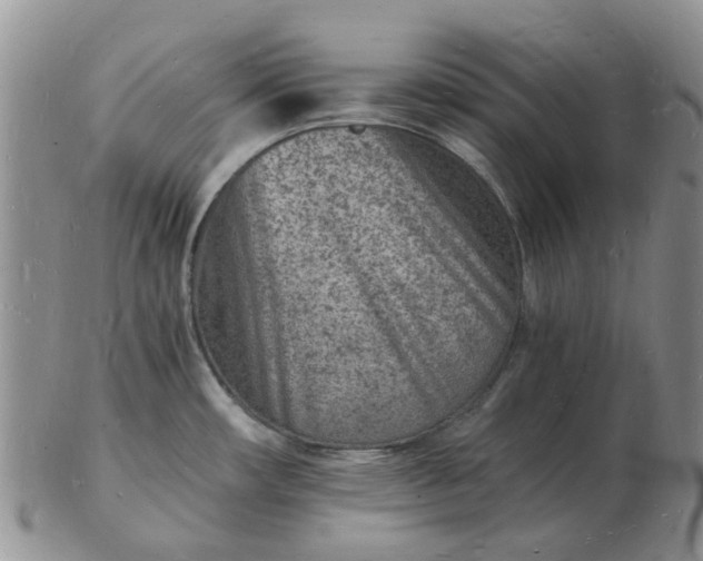 X0000102781482200809021041