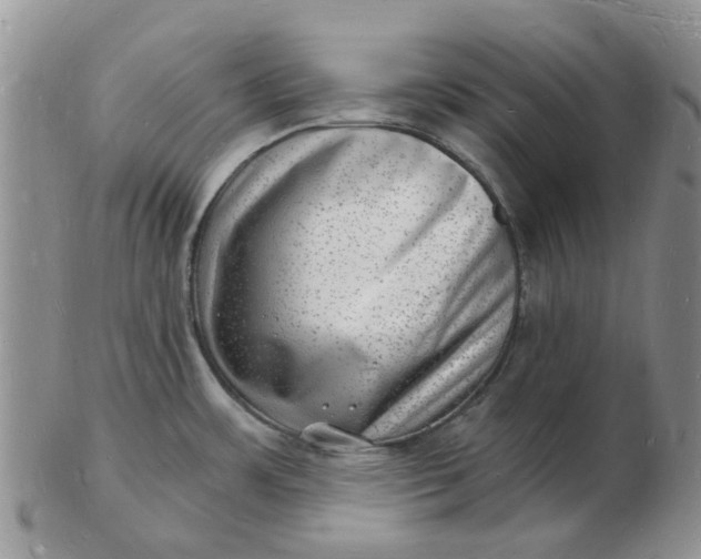 X0000102781483200809021041