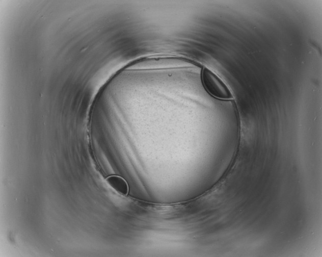 X0000102781485200809021041