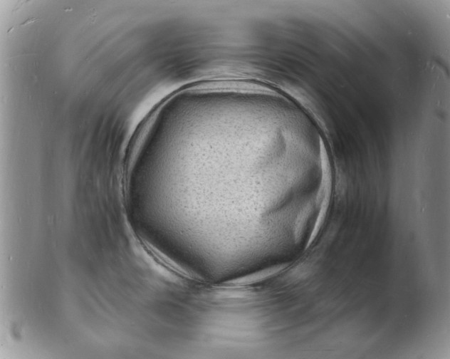 X0000102781486200809021041