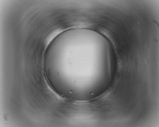 X0000102781487200809021041