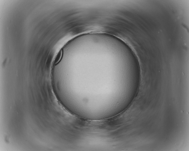 X0000102781488200809021041