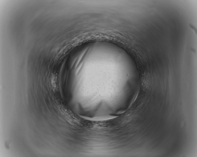 X0000102781490200809021040