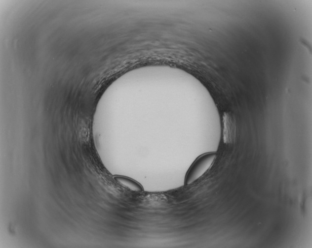 X0000102781491200809021040