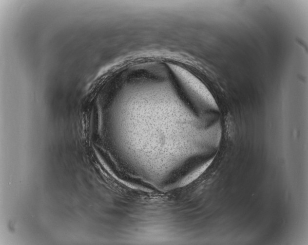 X0000102781494200809021040