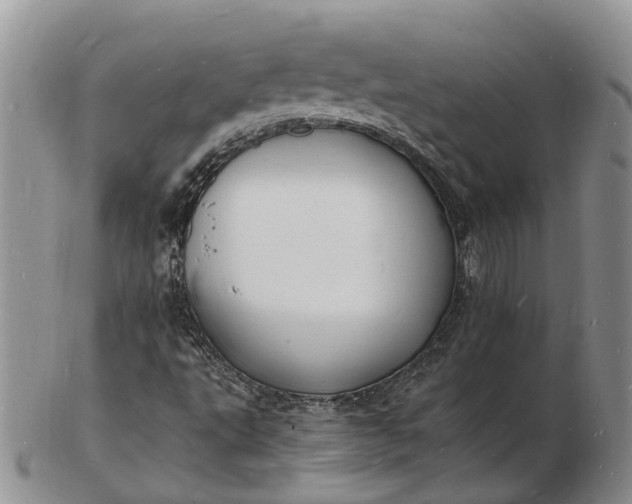 X0000102781495200809021040