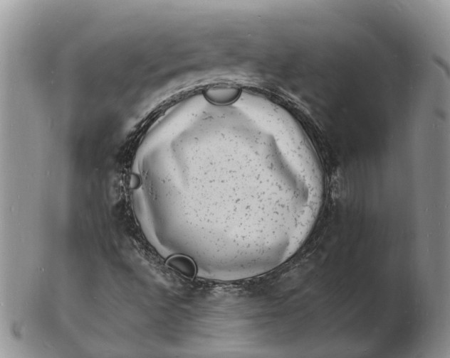 X0000102781496200809021040