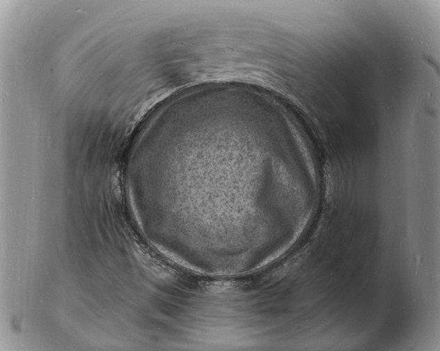 X0000102781497200809021040