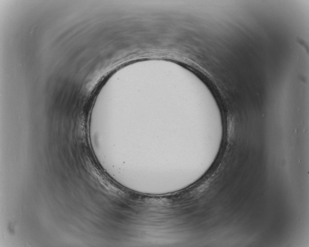 X0000102781498200809021040