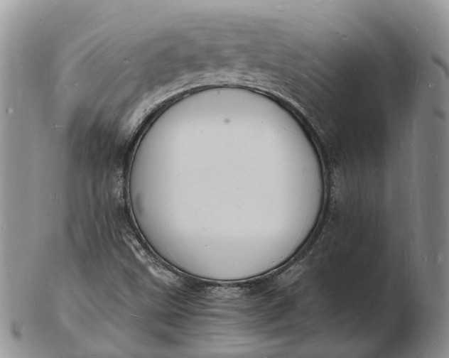 X0000102781499200809021040