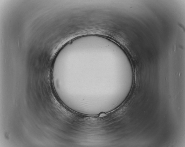 X0000102781500200809021040