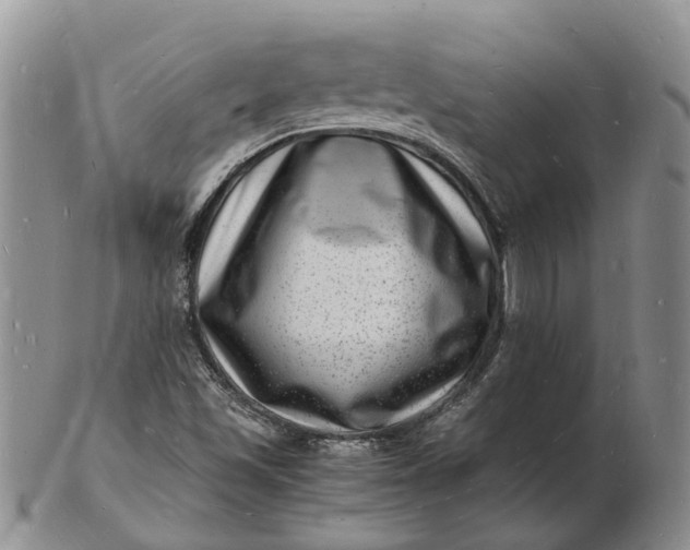 X0000102781501200809021040