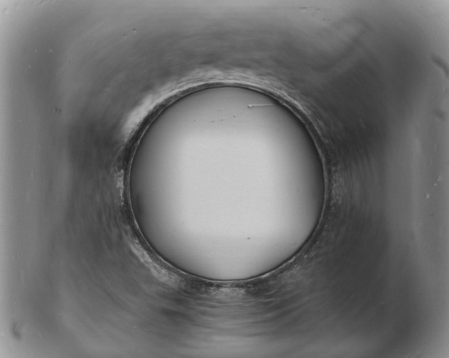 X0000102781503200809021040