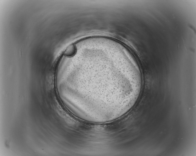 X0000102781504200809021040