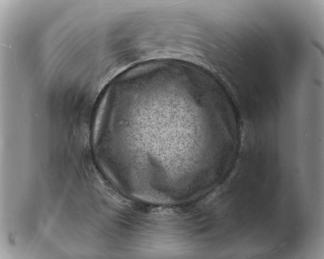 X0000102781505200809021040