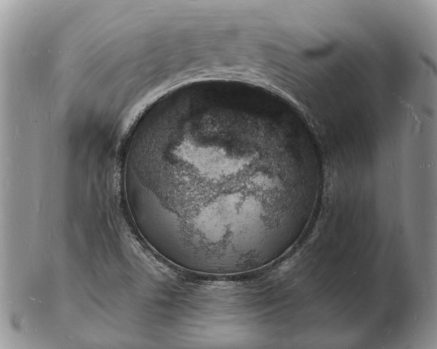 X0000102781506200809021040