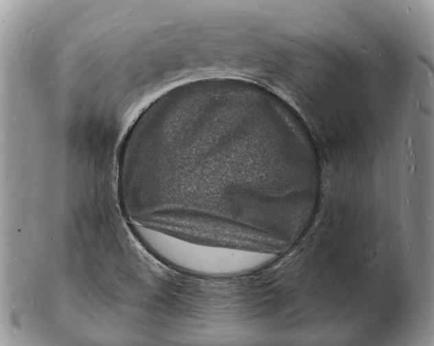 X0000102781508200809021040