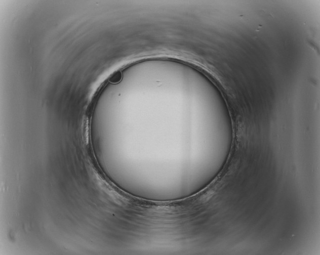 X0000102781510200809021040