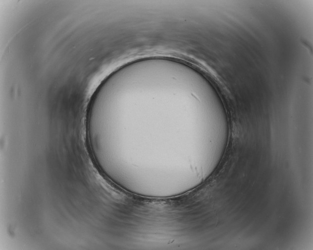 X0000102781512200809021040