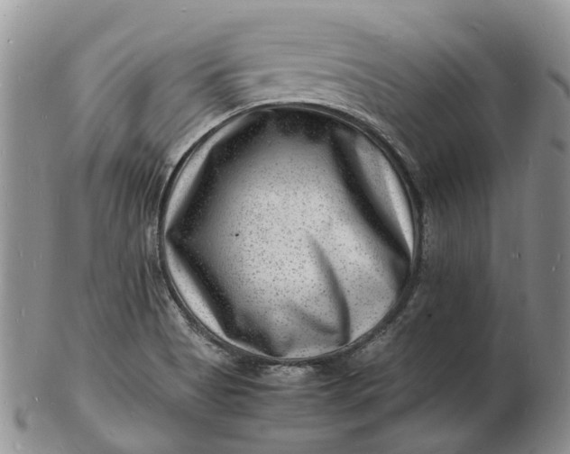 X0000102781513200809021040