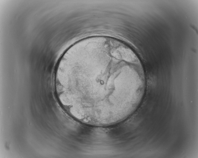 X0000102781514200809021040