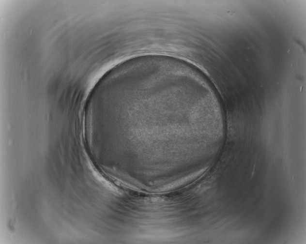 X0000102781515200809021041