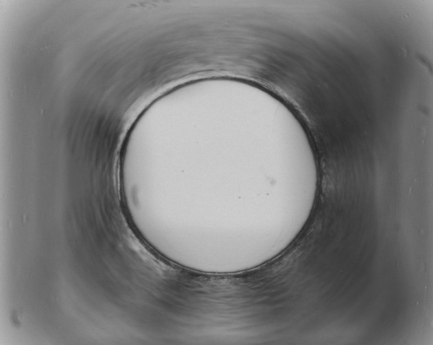 X0000102781516200809021041