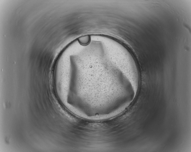 X0000102781517200809021041