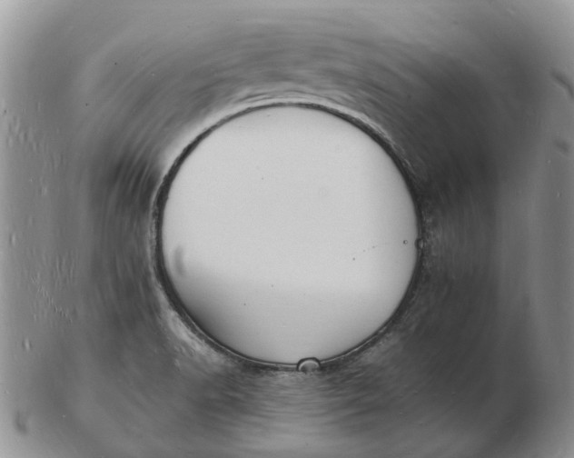 X0000102781518200809021041