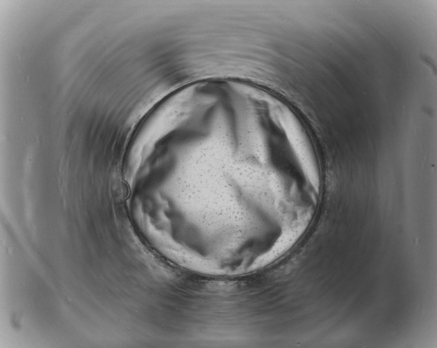 X0000102781521200809021041