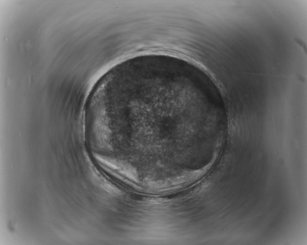 X0000102781522200809021041