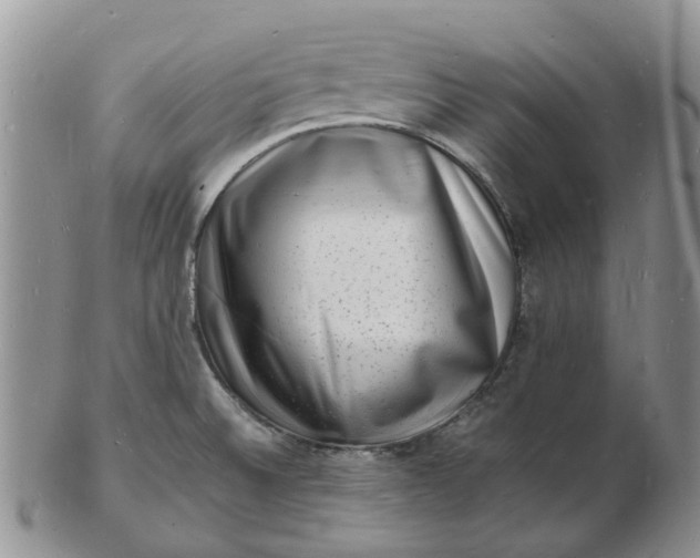 X0000102781524200809021041