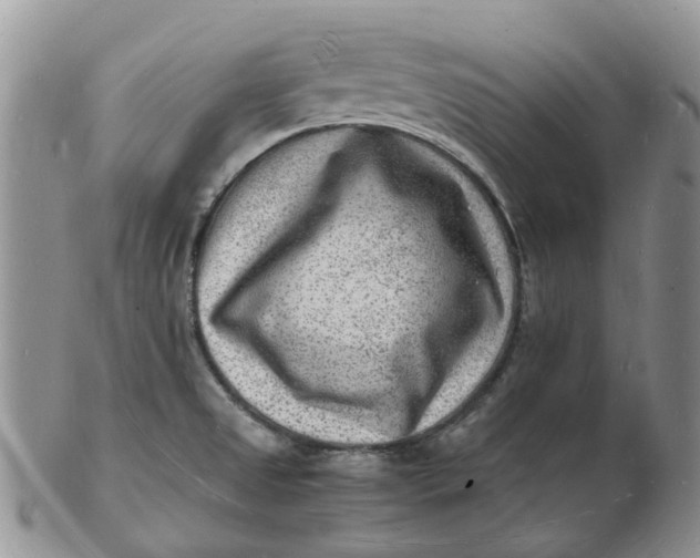 X0000102781525200809021041