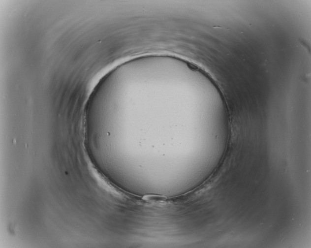 X0000102781526200809021041