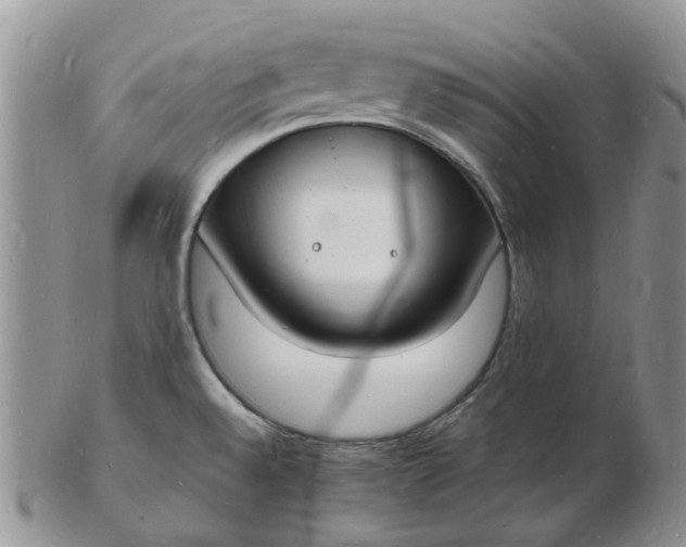 X0000102781528200809021041