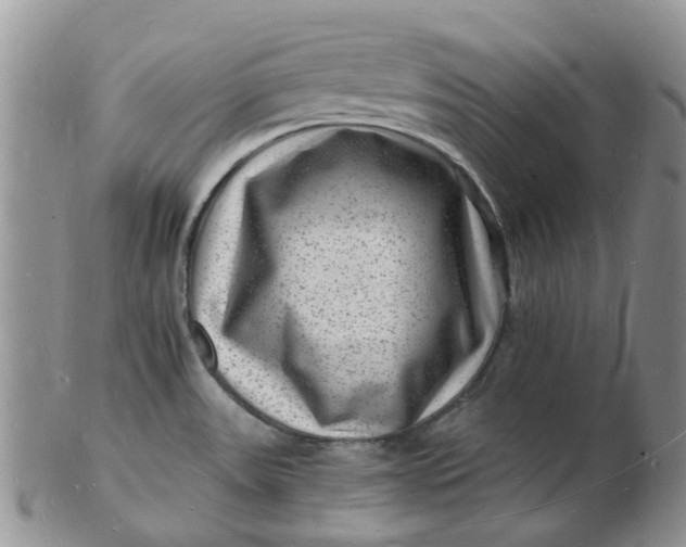 X0000102781531200809021041