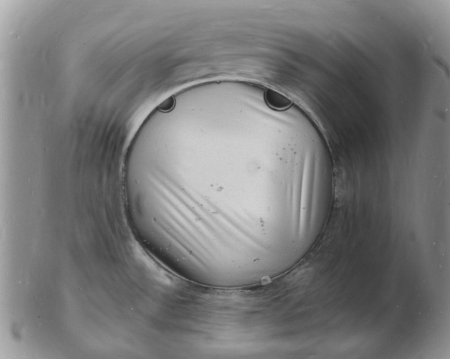 X0000102781532200809021041