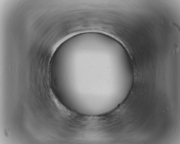 X0000102781534200809021041