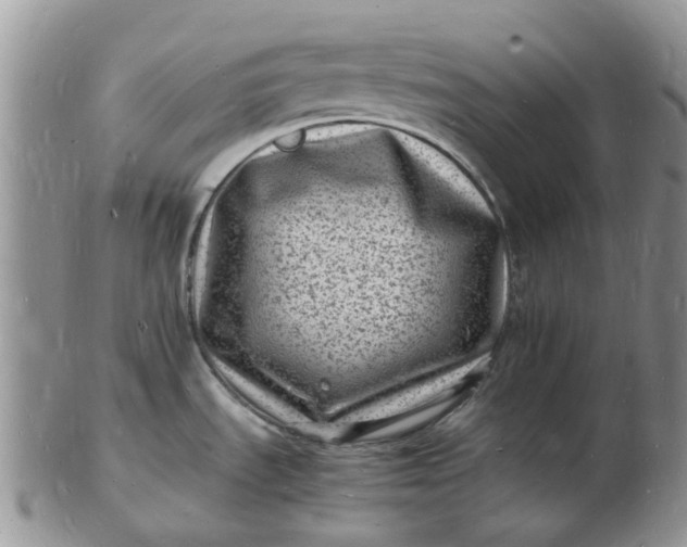 X0000102781535200809021041