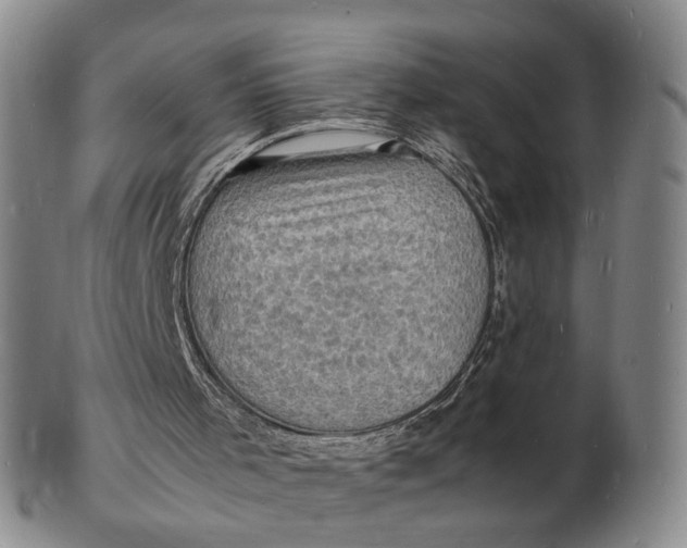 X0000102780001200809081038