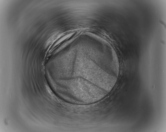 X0000102780002200809081038