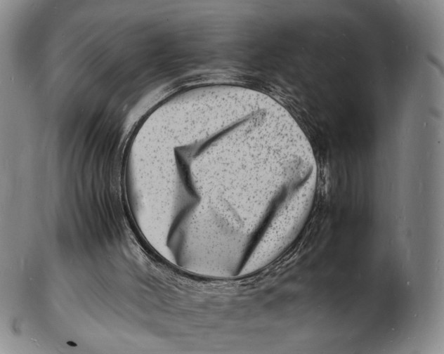 X0000102780004200809081038