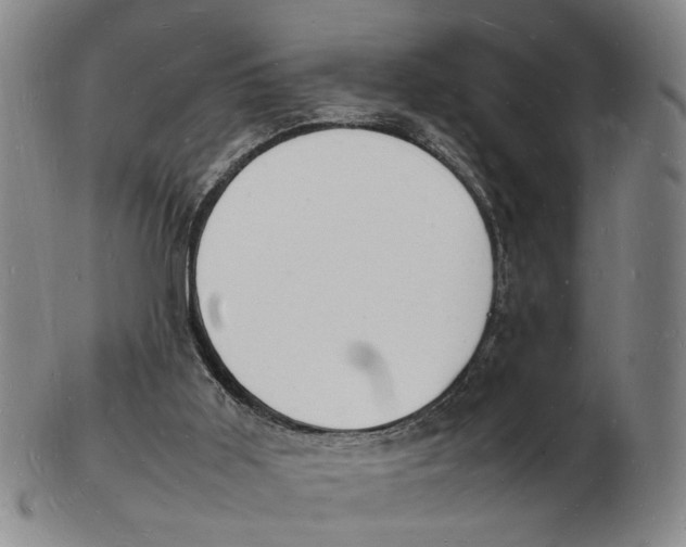 X0000102780011200809081038