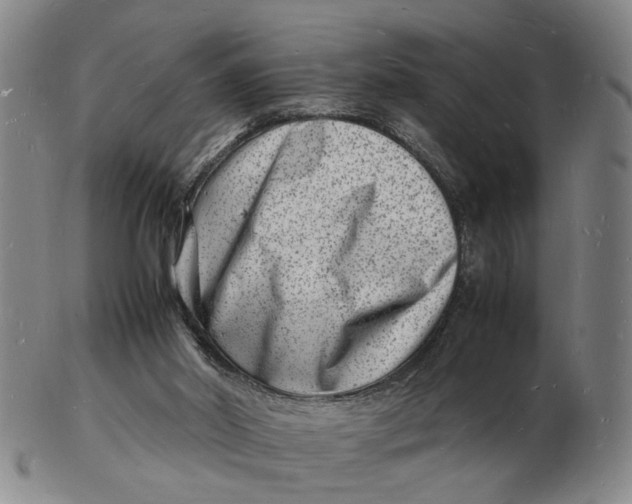 X0000102780014200809081038