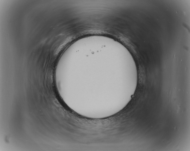 X0000102780015200809081038