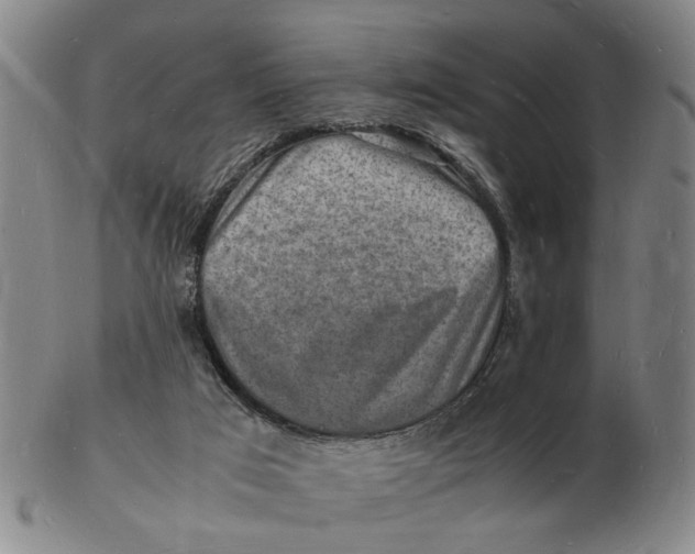 X0000102780017200809081037