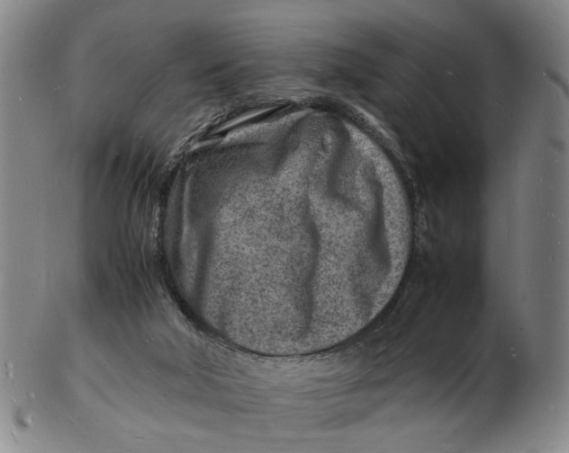 X0000102780018200809081037