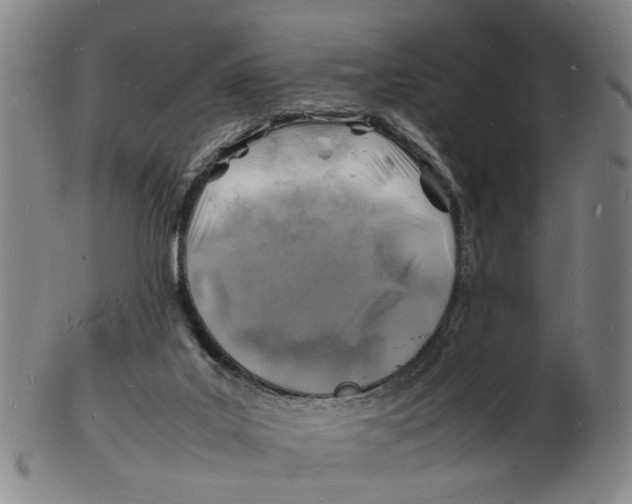 X0000102780019200809081037