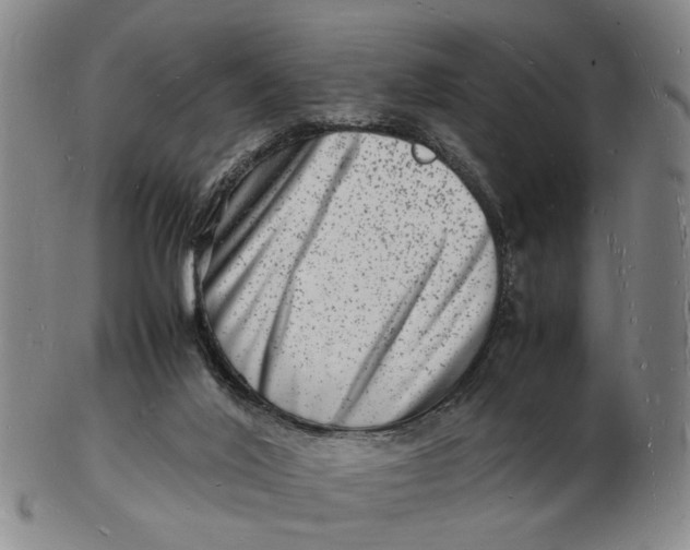 X0000102780020200809081037