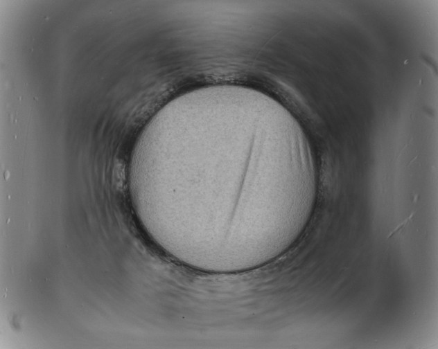 X0000102780025200809081037